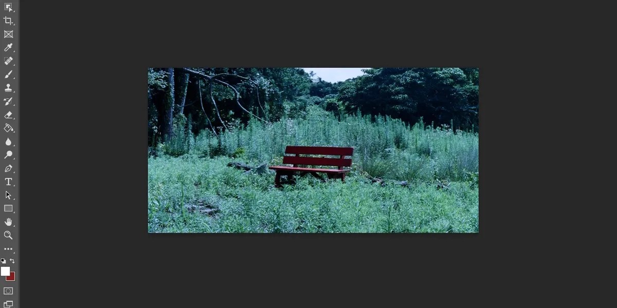 How to Develop Negative Film in