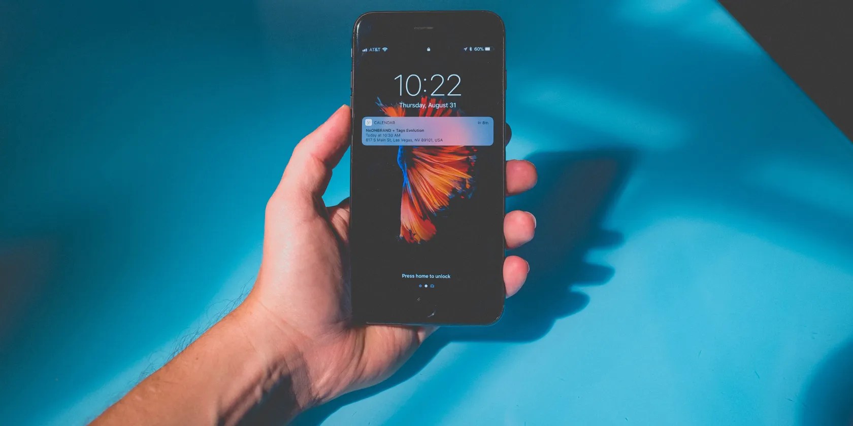 Why Did Apple Remove Live Wallpapers From iOS 16?