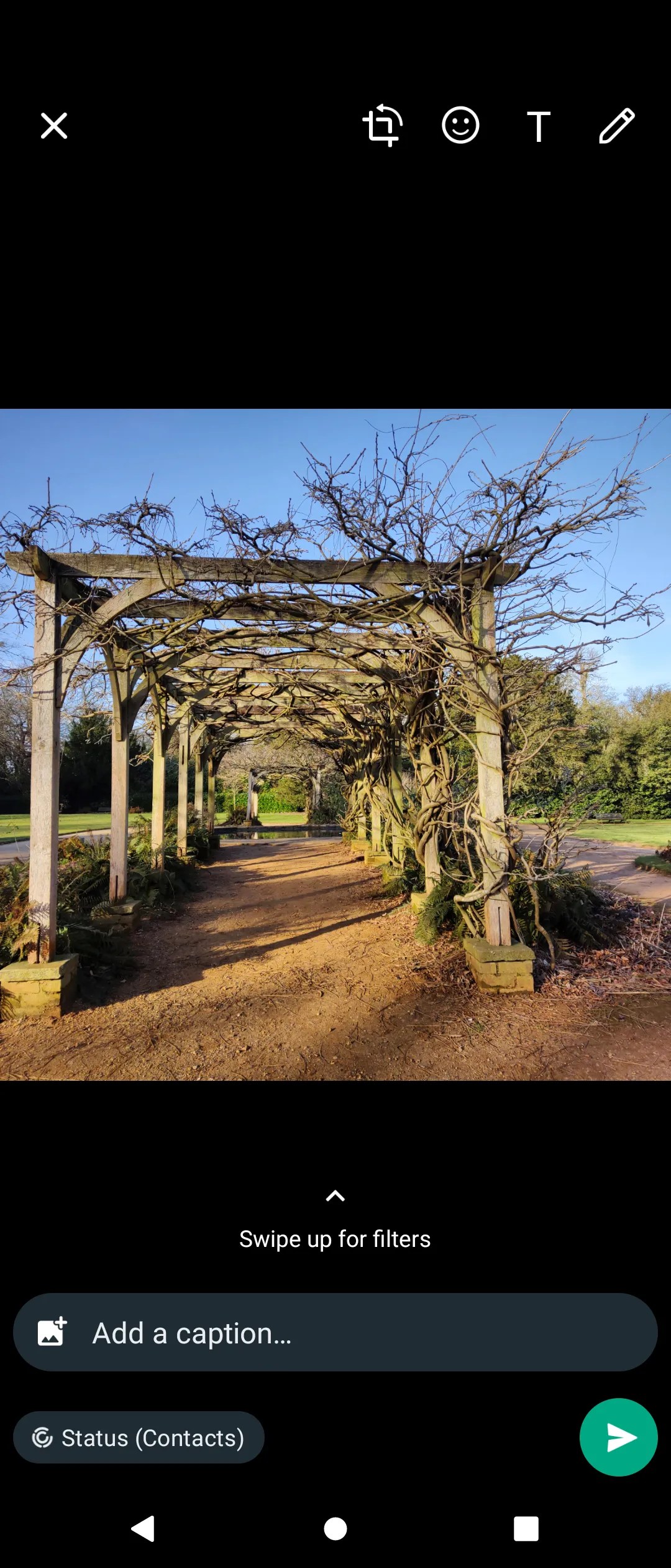 How to Use WhatsApp Status 11 Things You Need to Know