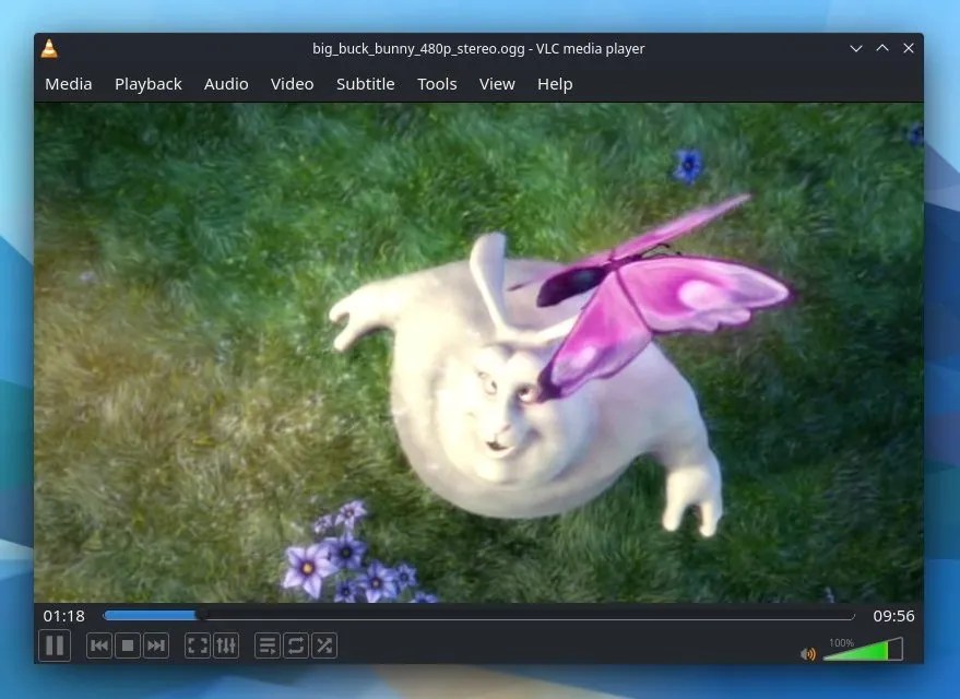 The 8 Best Media Players for the Steam Deck