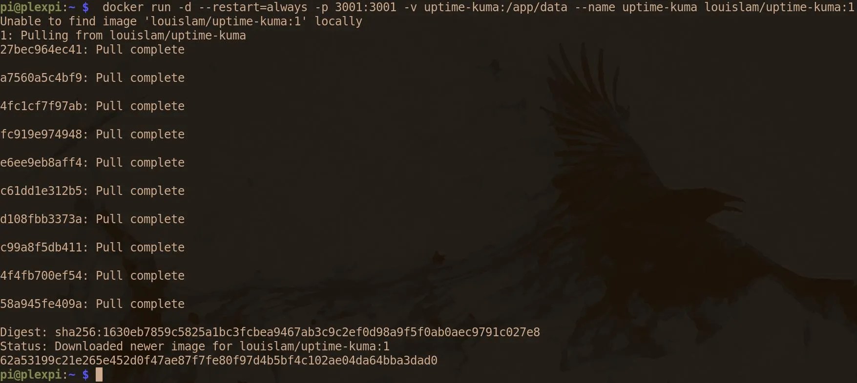 Monitor SelfHosted sites and Projects on Raspberry Pi With Uptime Kuma