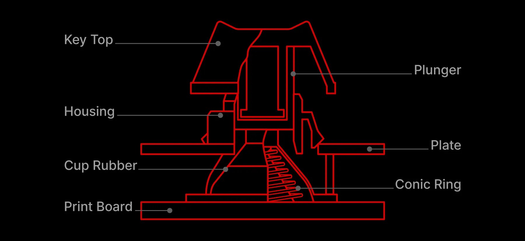 Sự khác biệt là gì và bạn nên chọn gì? Smart Review AZ