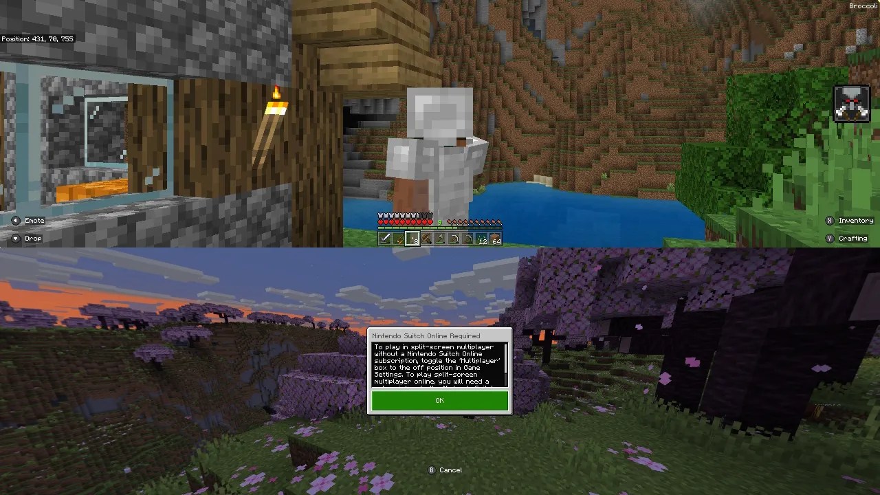 How to Play TwoPlayer Minecraft on the Nintendo Switch