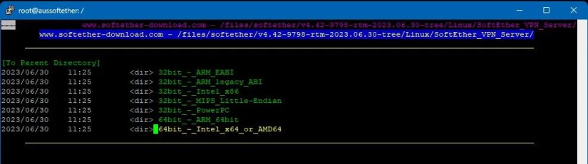 Linux terminal showing Lynx browser and CPU directory