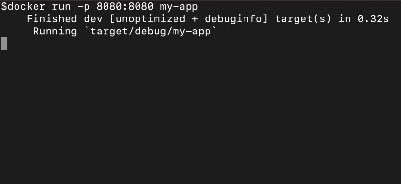 result from running the server via Docker-1