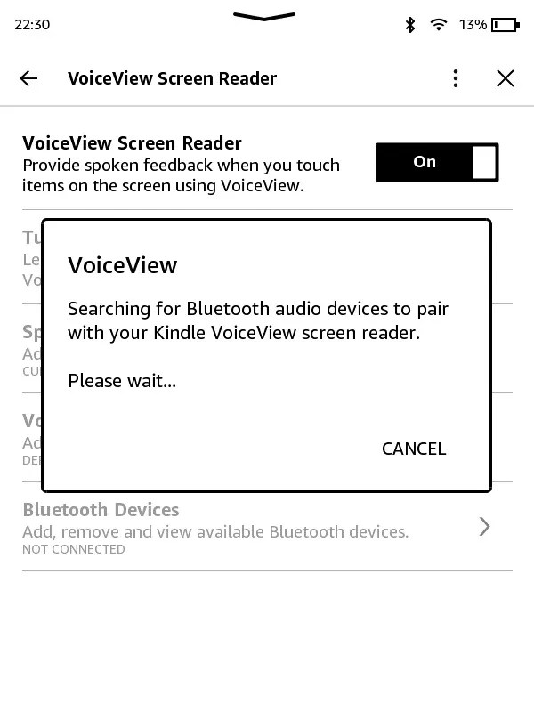 8 Amazon Kindle Accessibility Features Worth Exploring