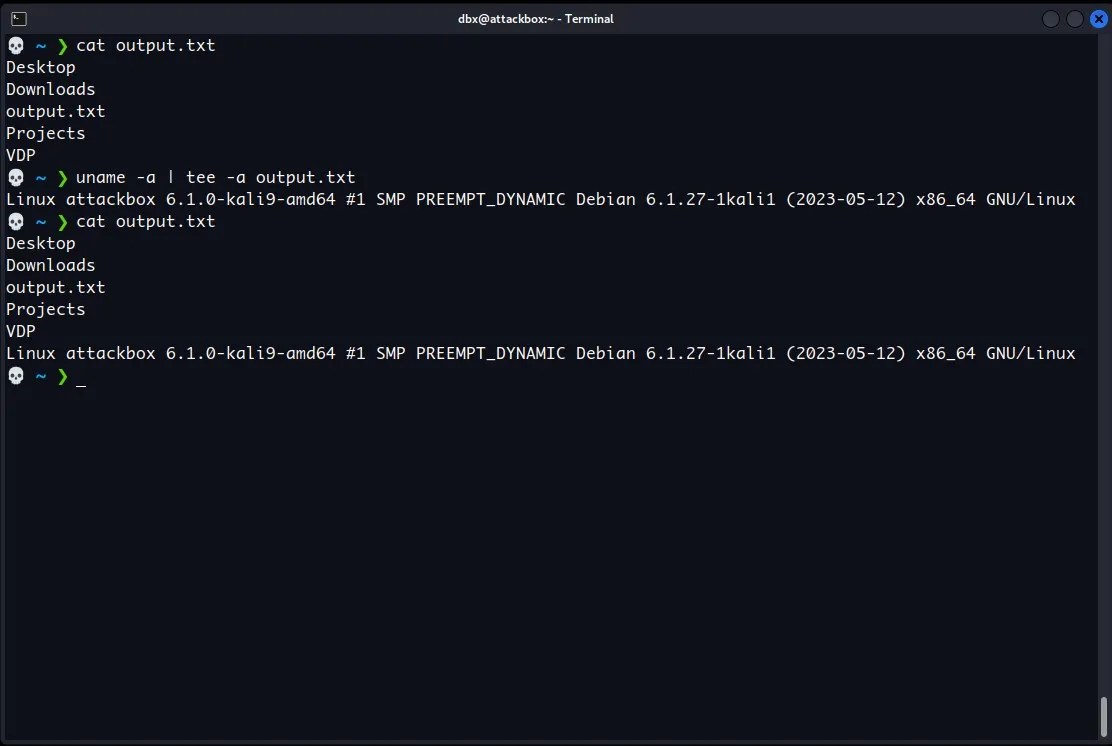 How to Save Command Line Output to File on Windows, Mac, and Linux