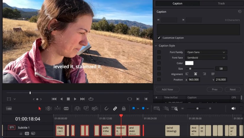 Customizing subtitles on the timeline on DaVinci Resolve