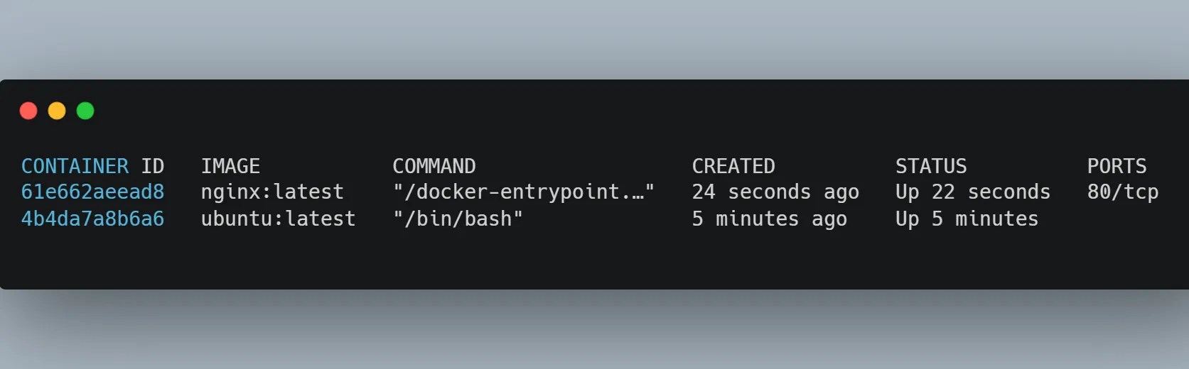 Learn Docker 8 Essential Topics for Beginners