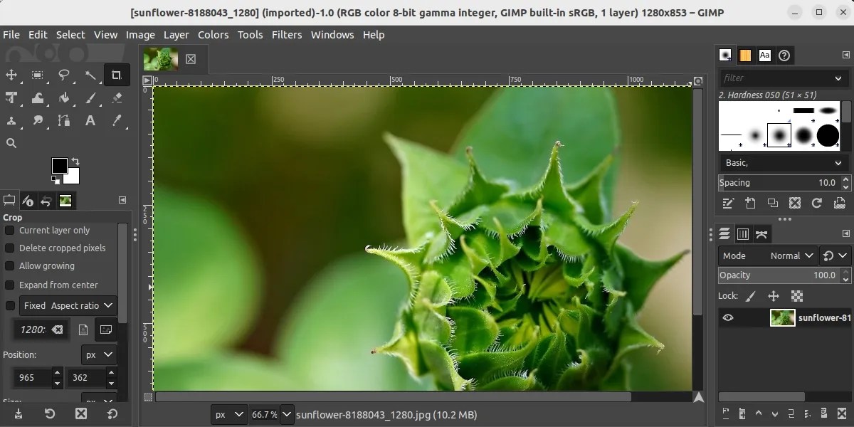 The Top 9 FreetoUse ImageEditing Apps for Linux