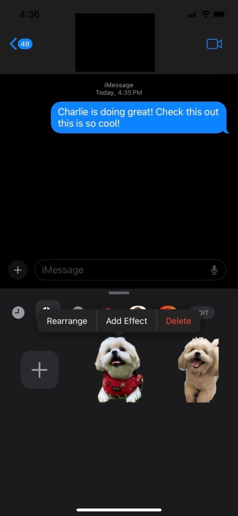 iOS Messages App With Stickers Menu Open