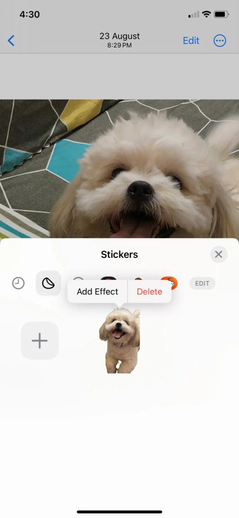 iOS Photos App Photo Converted to Sticker