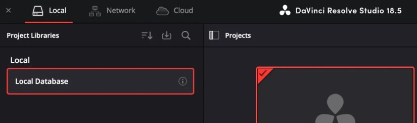Project Manager with Local Database tab
