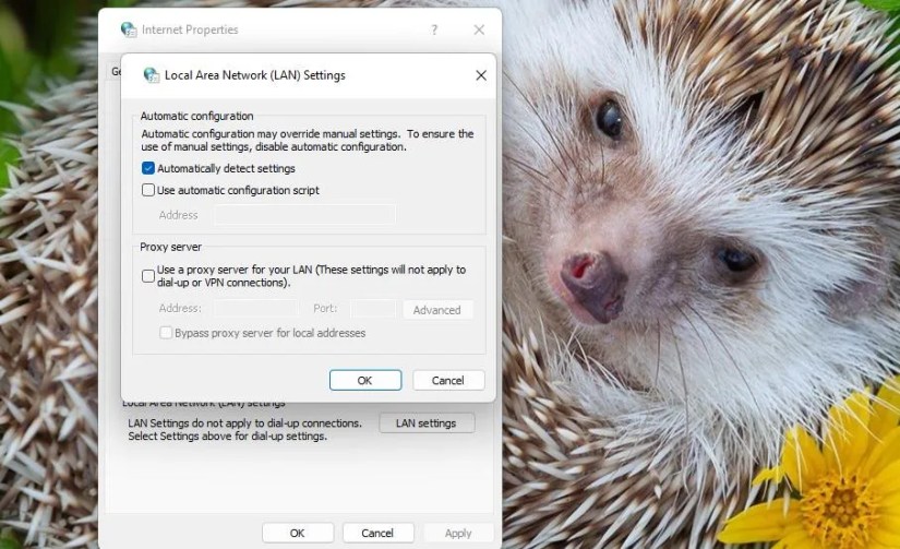 The Use a proxy server checkbox
