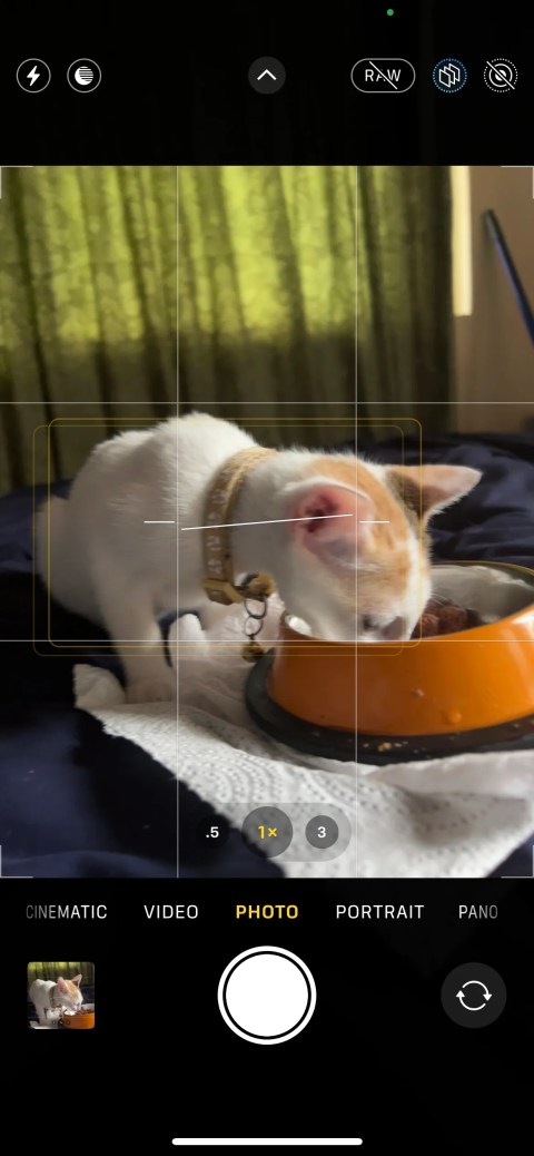 iPhone Camera app in Photo mode