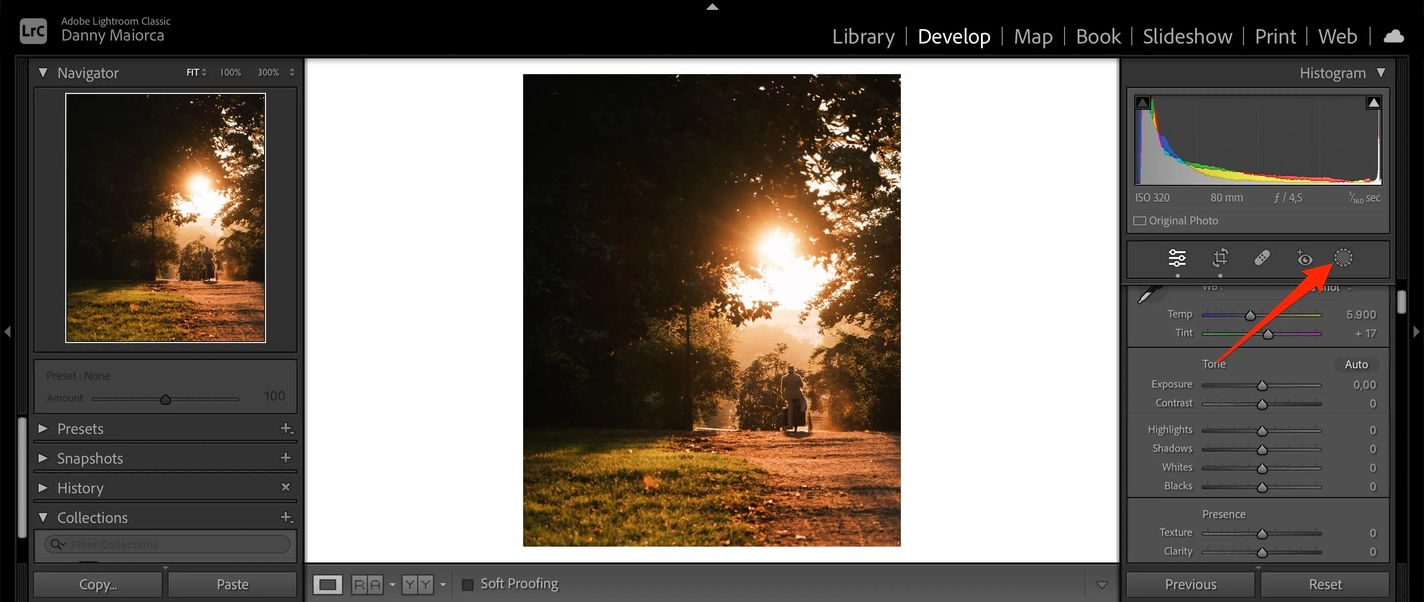 How to Use the Radial Gradient Filter in Lightroom