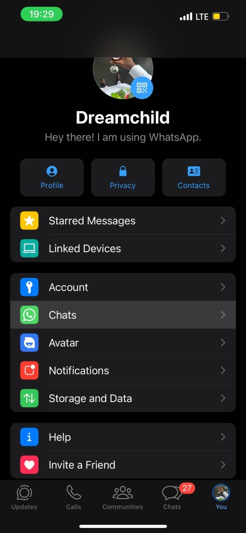 WhatsApp You settings panel on iOS