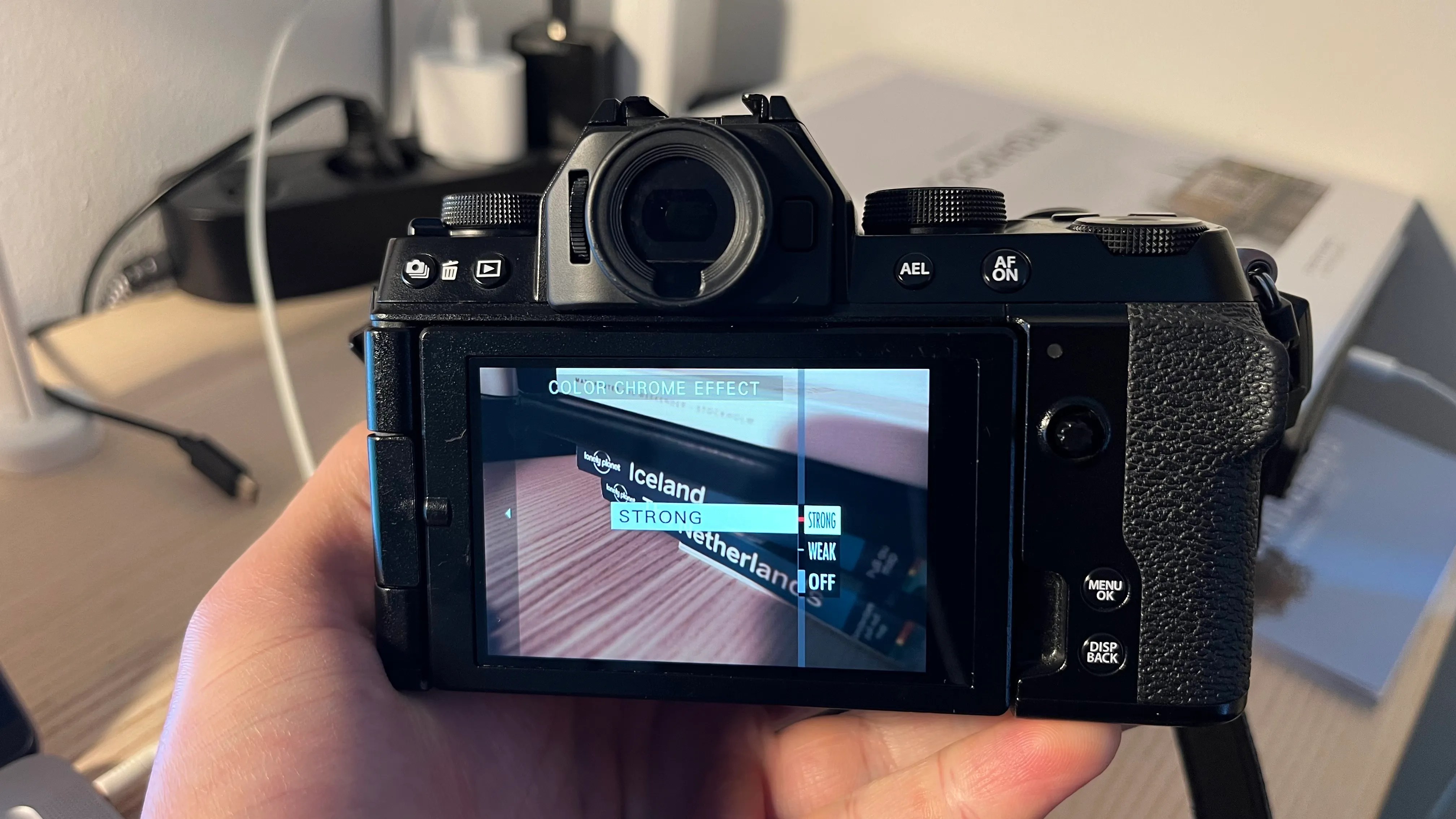 How to Adjust Your InCamera Settings for Better Photo Colors