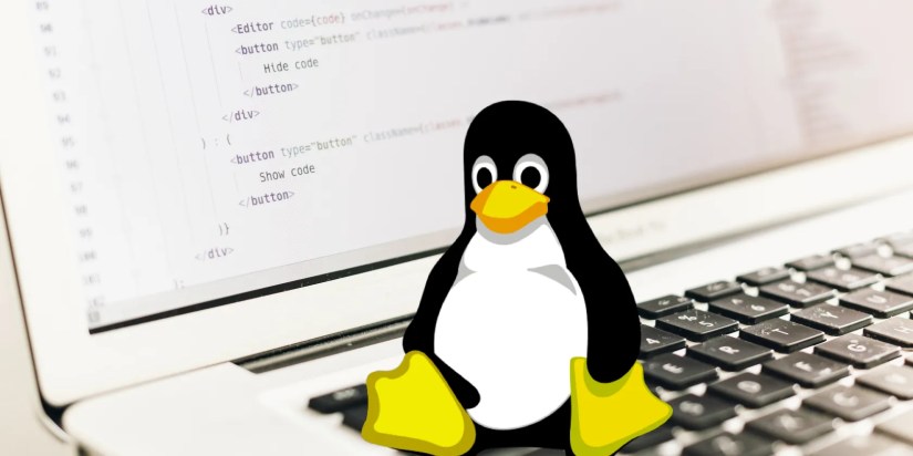 Laptop screen with Linux’s logo, a penguin