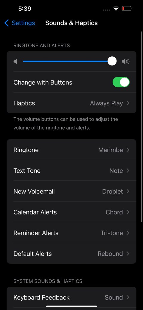 sound and haptics settings on iPhone