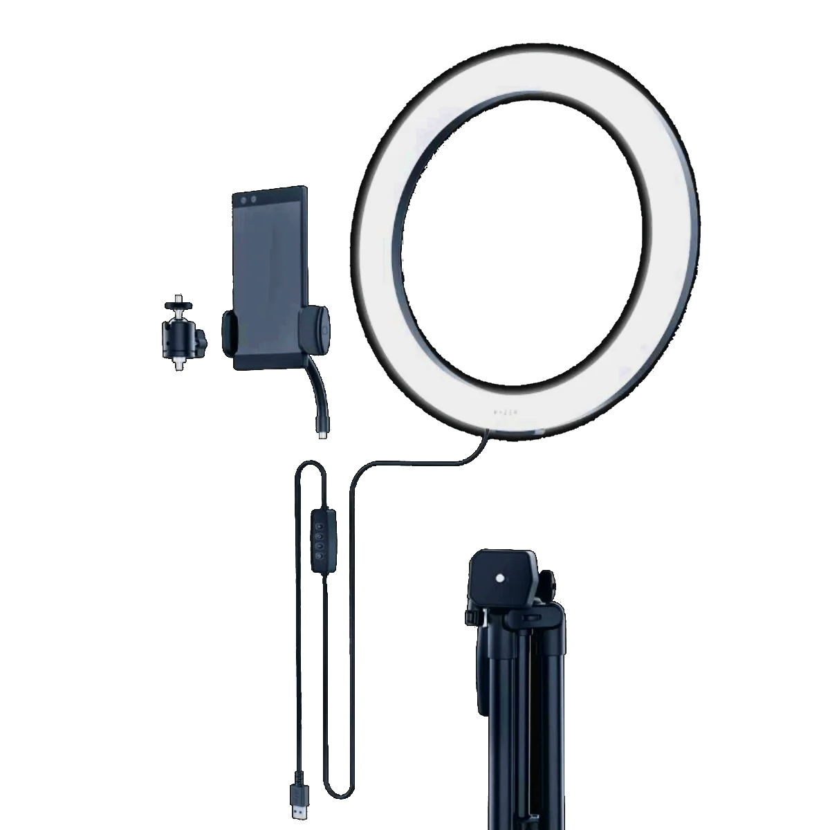 The Best Lighting Equipment of 2024