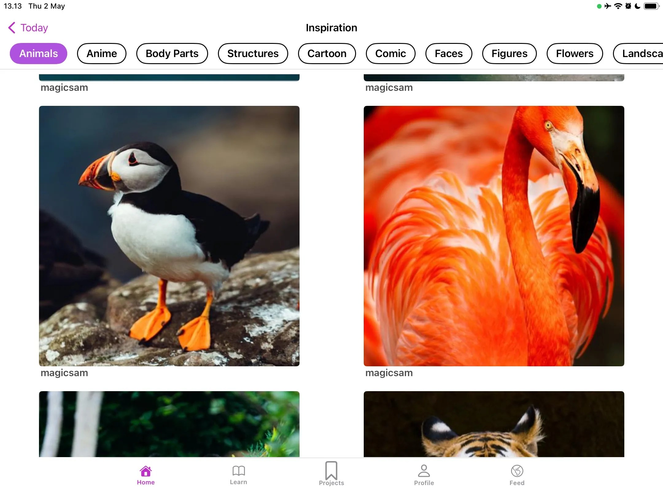 This App Lets Anyone Draw Like a Pro