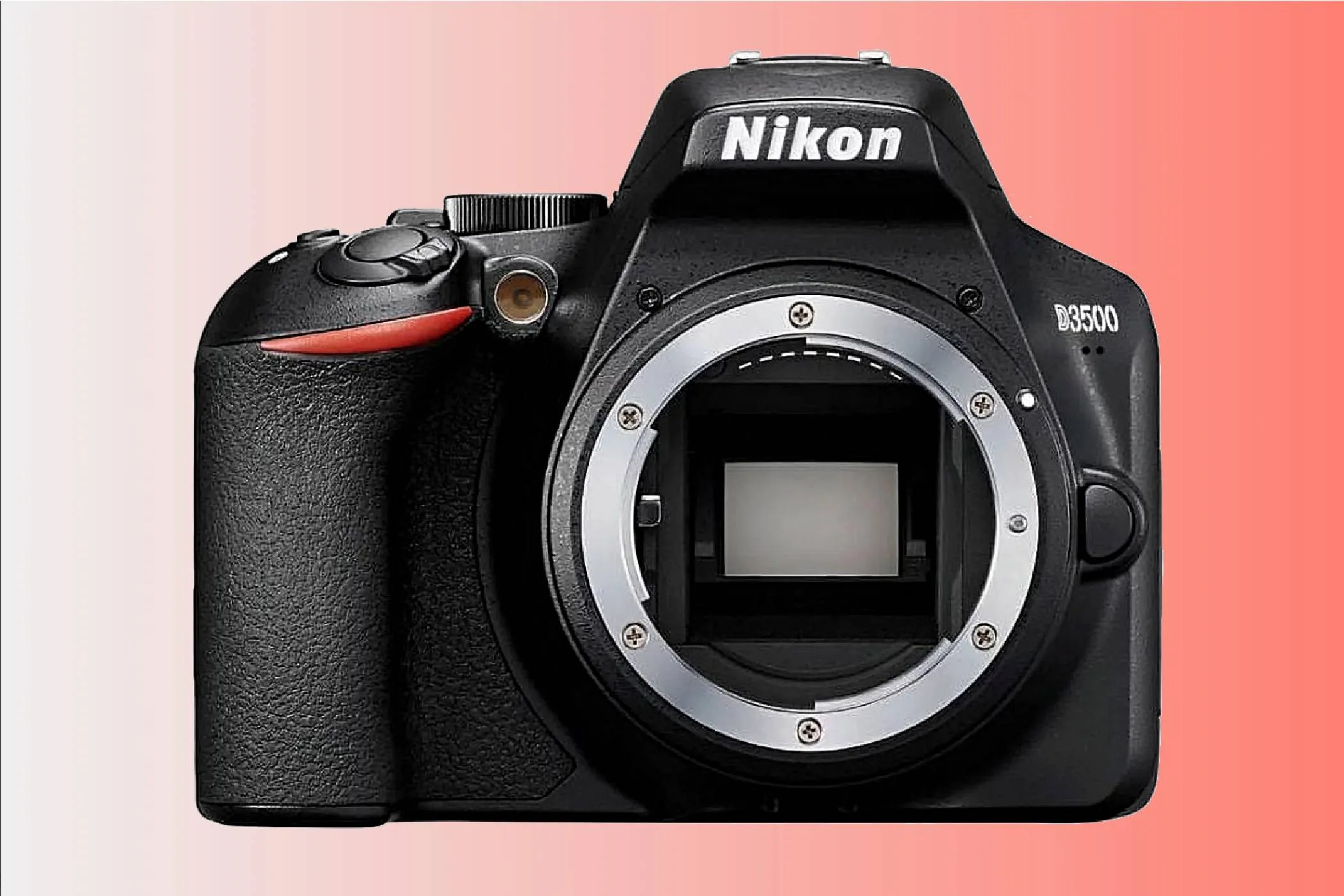 The Best Budget DSLR Cameras of 2024