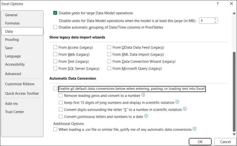 Automatic Data Conversion in Excel Options