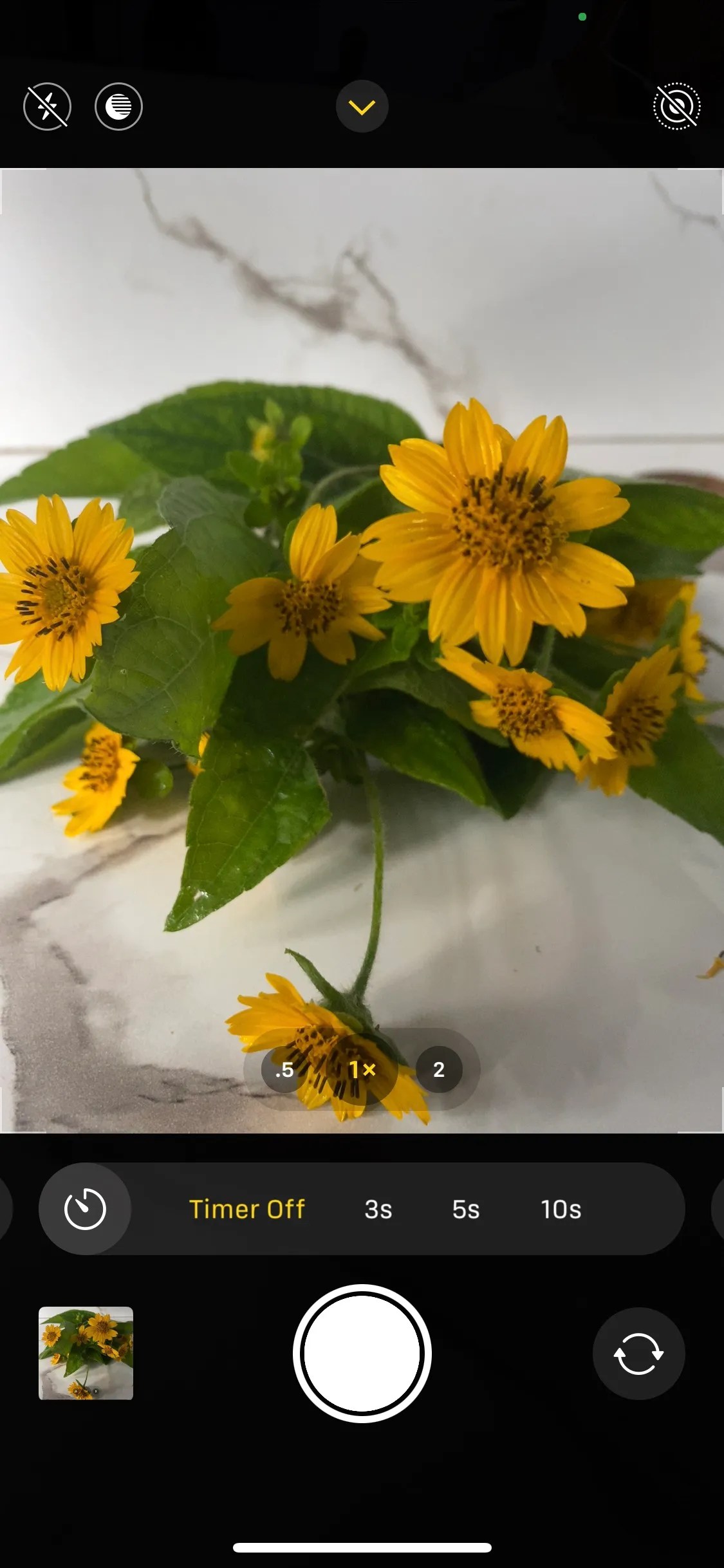 Understanding the Camera Settings on Your Phone What Each Feature Does