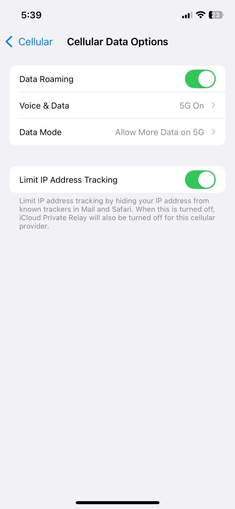 Cellular Data Options Page in iPhone Settings