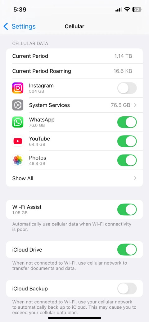 Cellular Menu in iPhone Settings App