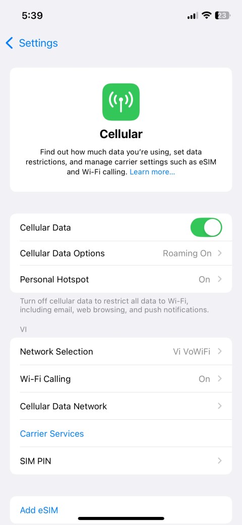 Cellular Menu in iPhone Settings