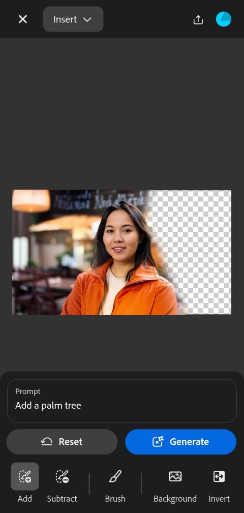 Image showing Adobe firefly generative fill prompt interface