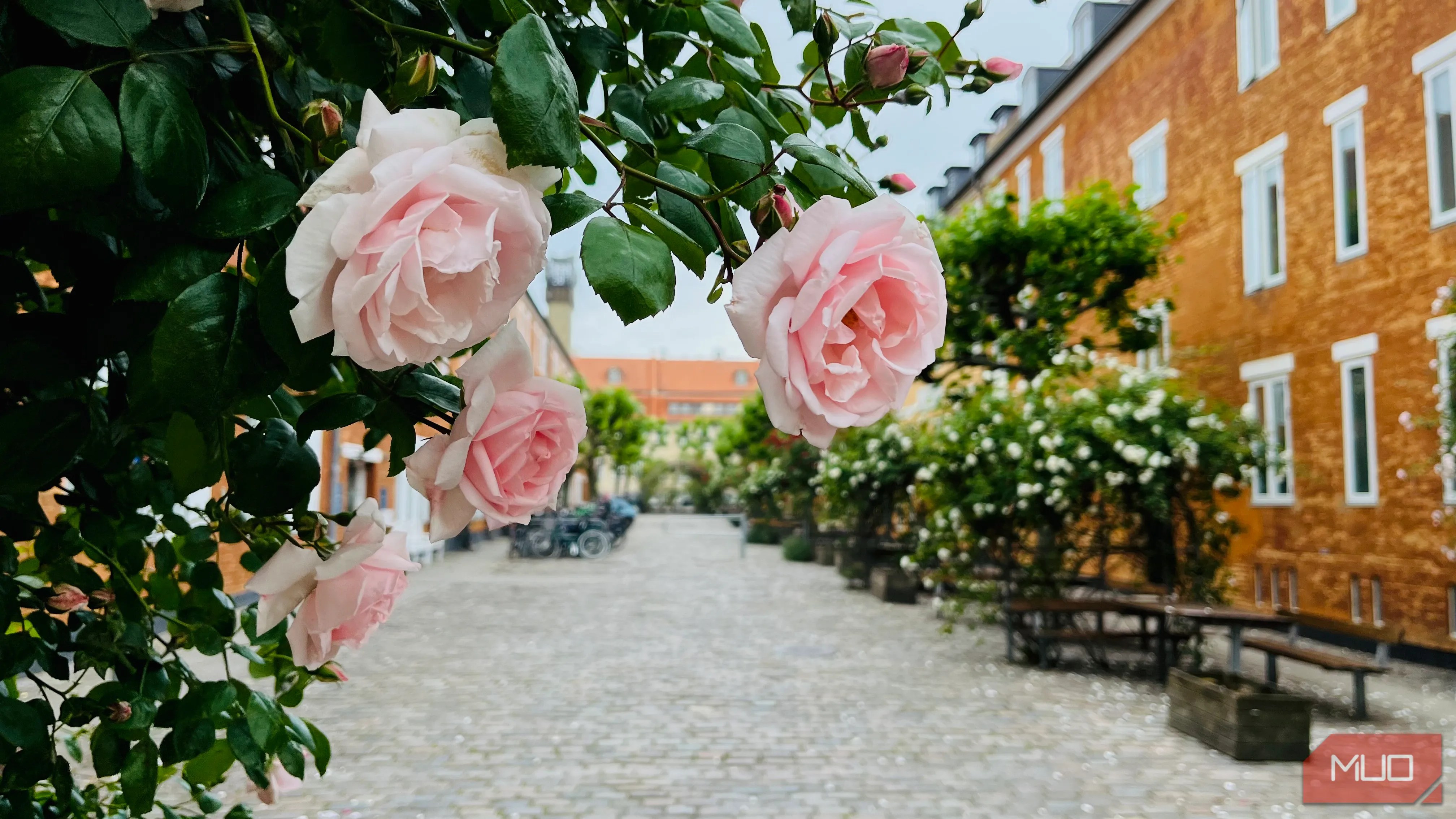 How I Take Good Smartphone Photos in Any Lighting Condition