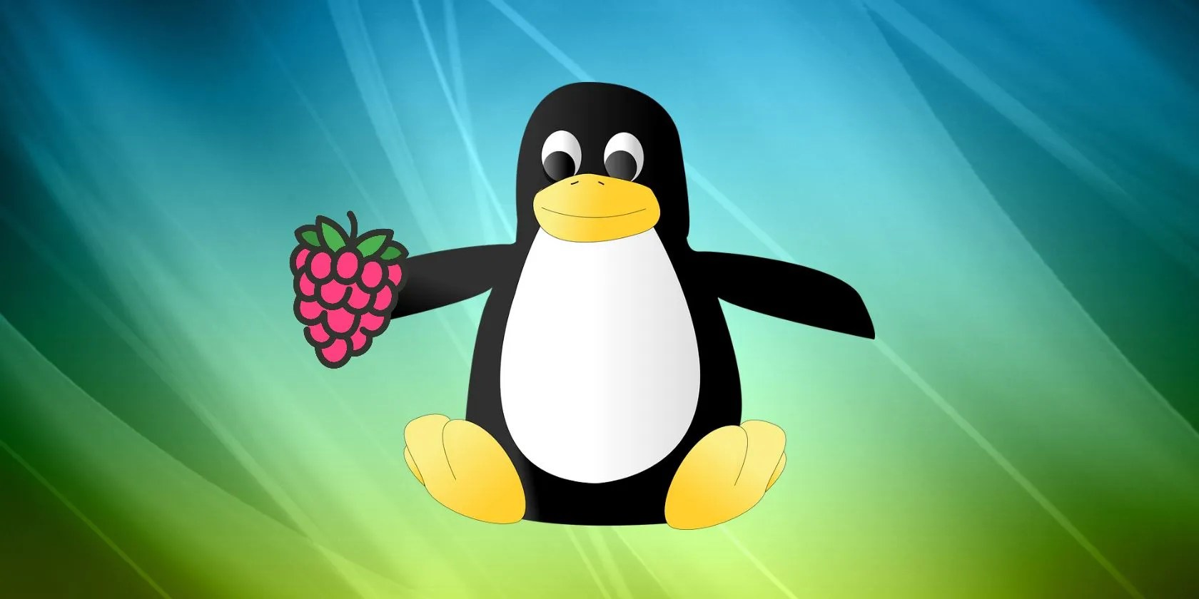 How to Set Up a Raspberry Pi in Linux