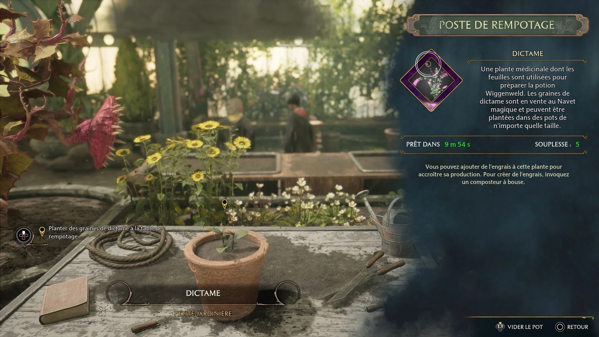 Amanite et Chiendent Hogwarts Legacy Où trouver la boutique pour le