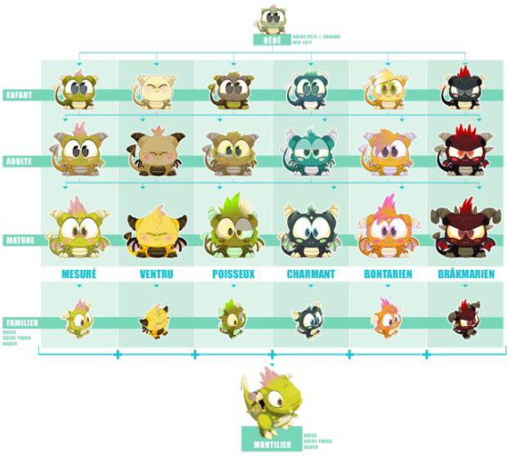 Dofus Pets Guide Millenium