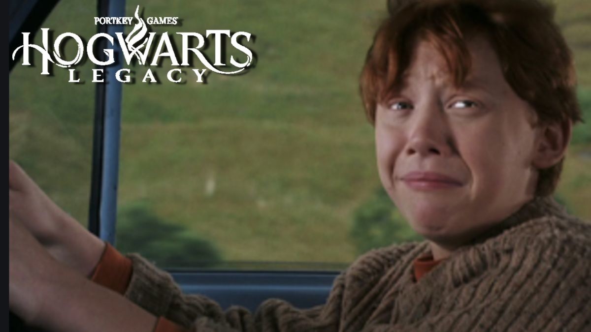 Hogwarts Legacy Arachnophobes ? Le jeu Harry Potter ne sera pas fait