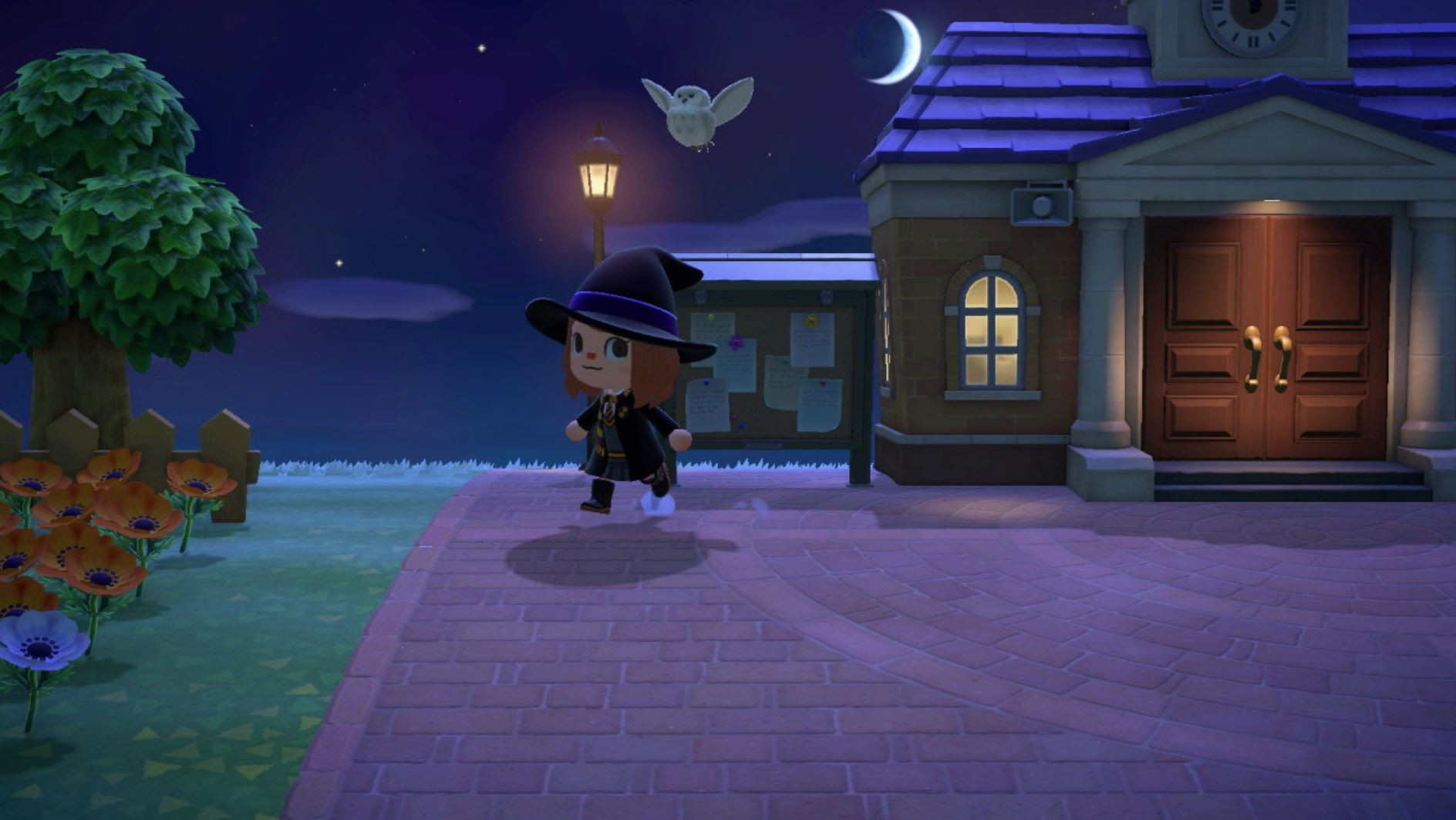 Animal Crossing New Horizons peuton attraper la chouette et l'oiseau