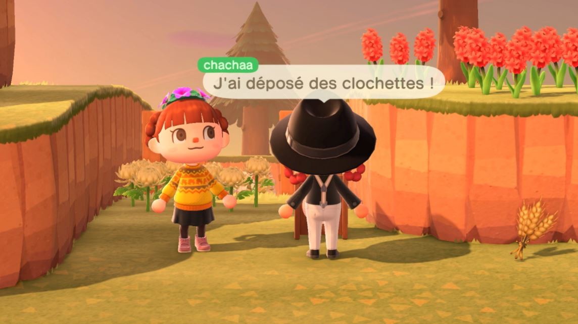 Boîte à dons Animal Crossing New Horizons à quoi sert cet objet