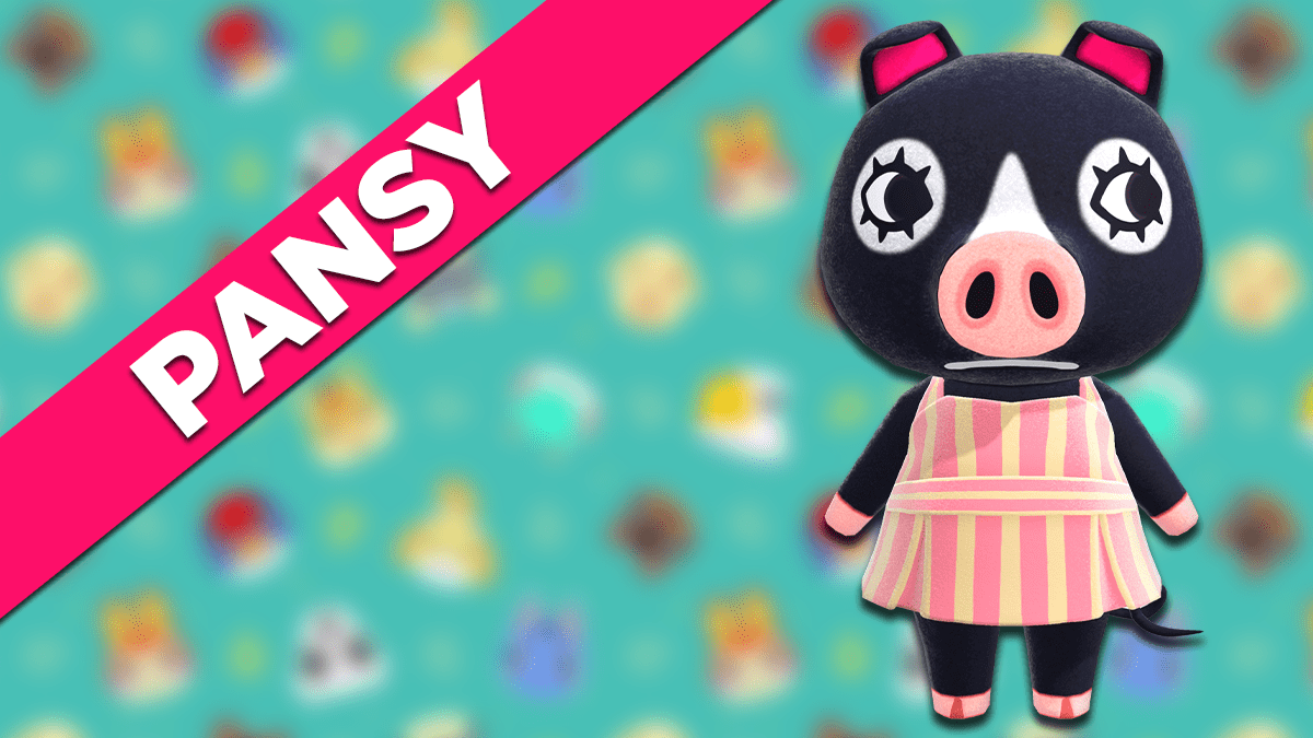 Pansy Animal Crossing New Horizons tout savoir sur cet habitant Millenium