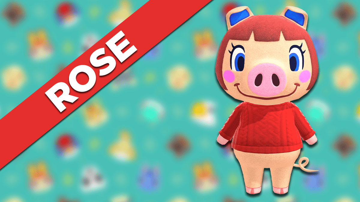 Rose Animal Crossing New Horizons tout savoir sur cet habitant