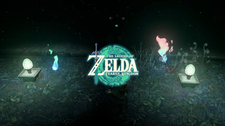 Esprit Zelda Tears of the Kingdom À quoi sert cette ressource des