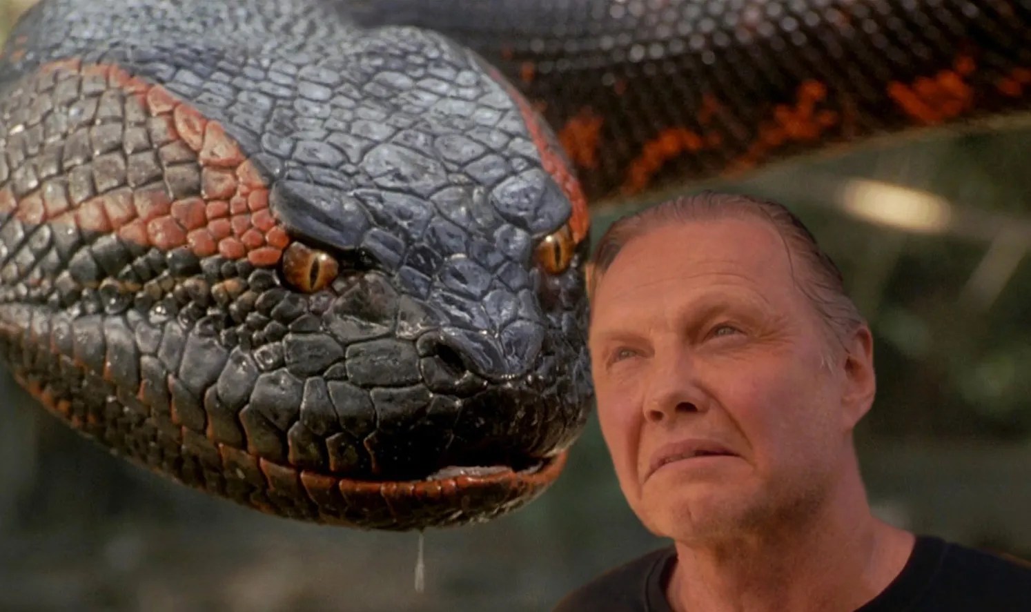 10 Wild Animal Movies That Will Keep You Out of the Woods Forever