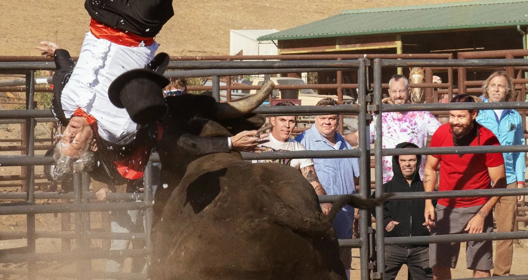 Jackass Forever Review Ouch My Balls the Movie