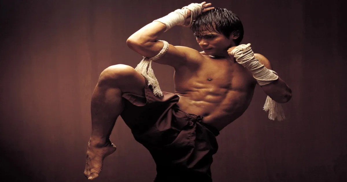 Best Martial Art Movies Ever The 100 Best Martial Arts Movies Of All Time Bodenewasurk