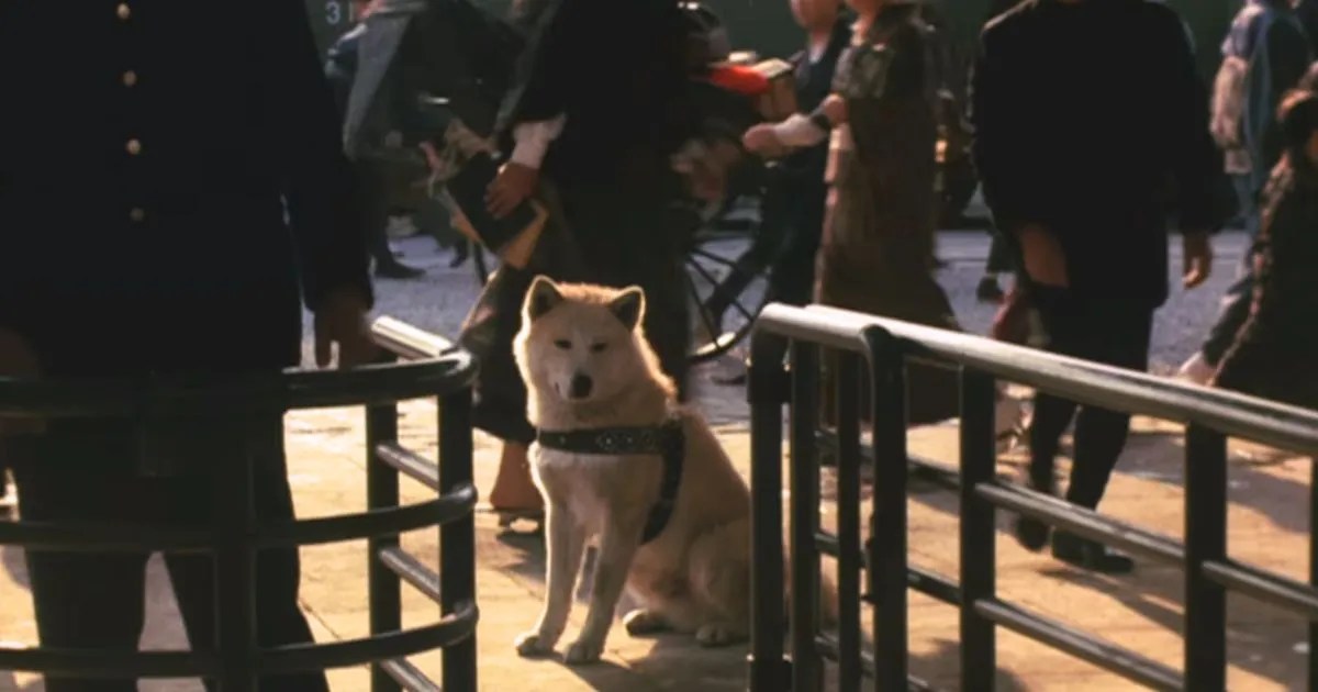 16 Japanese Movies Based On True Stories