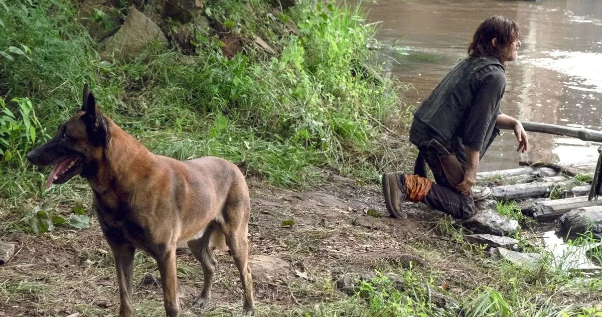 Walking Dead Fans Petition to Keep Daryls Dog Alive
