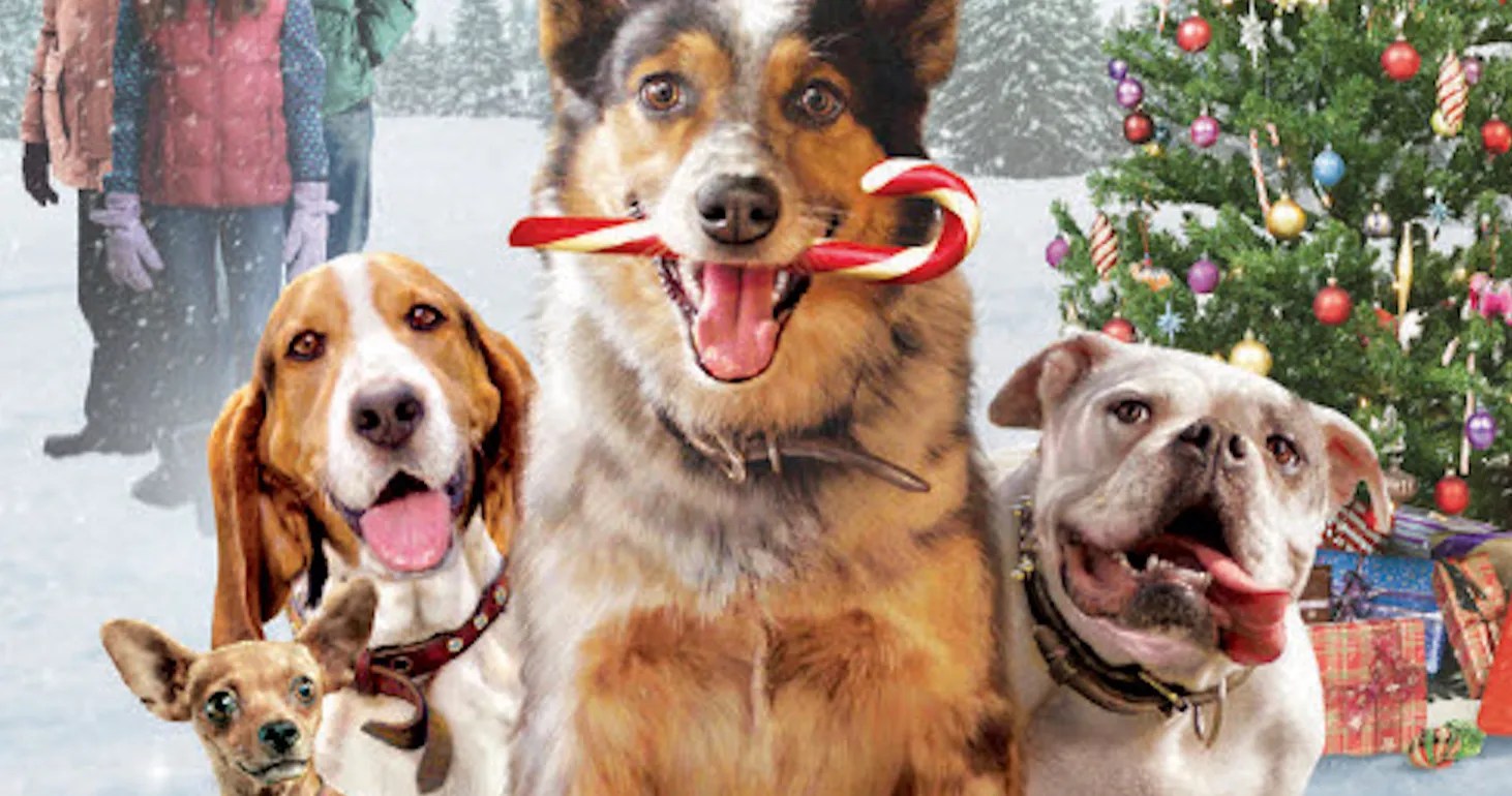 Pups Alone Trailer Is Home Alone with Jennifer Love Hewitt