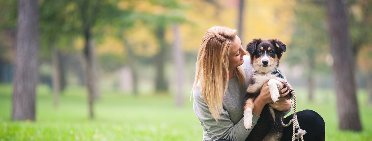 Pet Sitters Near Me Rabbits / Rabbit Sitting Services Keeping Bunny